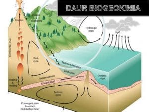 daur-biogeokimia-1-638