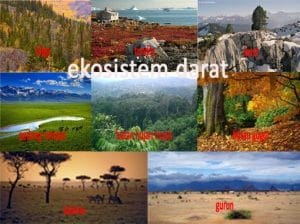 ekosistem-darat