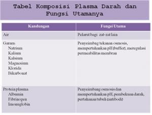 kandungan plasma darah