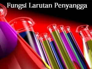 fungsi larutan penyangga kimia