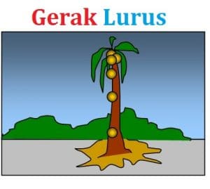 gerak lurus