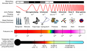 spectrum gelombang