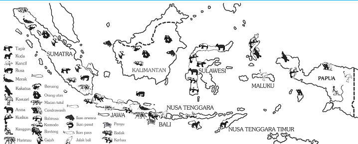 Peta persebaran hewan di Indonesia