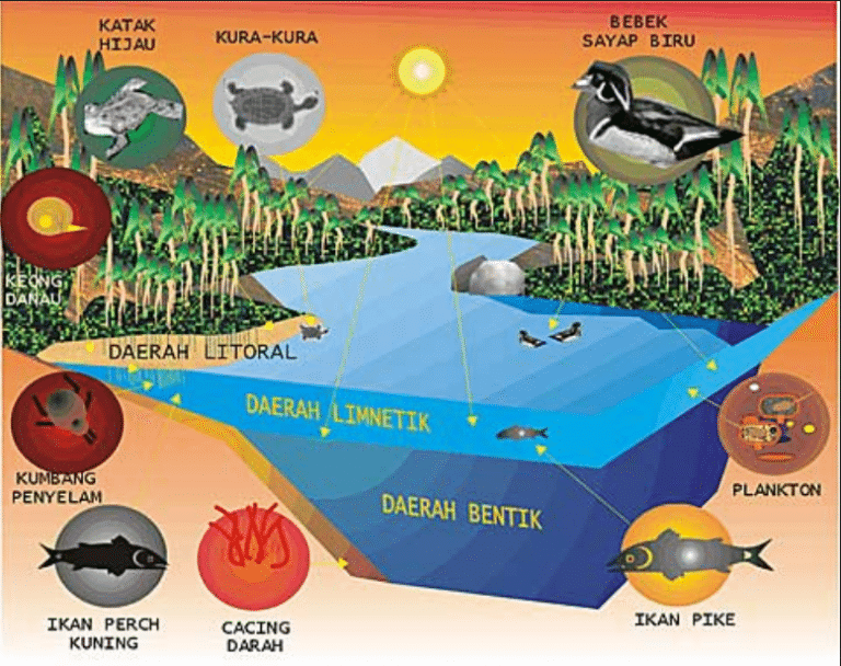 Penjelasan Ruang Lingkup Lingkungan Biotik Ekologi Terlengkap