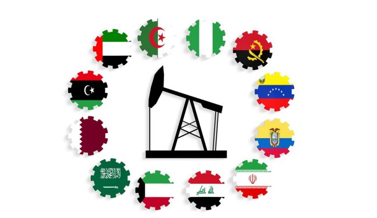 OPEC, OKI, GNB, Dan CGI Dalam Perwujudan Pelaksanaan Politik Luar