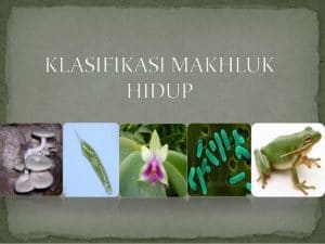 klasifikasi-makhluk-hidup-1-638