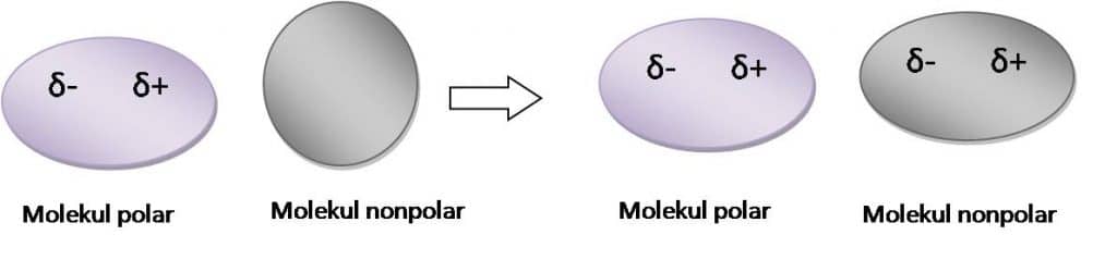 Gaya Antarmolekul - Penjelasan Gaya Van Der Waals dan Ikatan Hydrogen