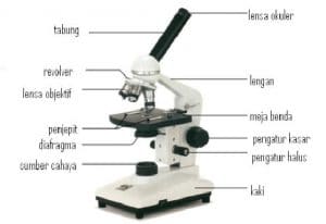 bag mikroskop