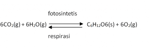 fotosintetis