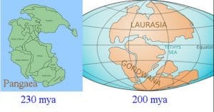 Teori Laurasia-Gondwana