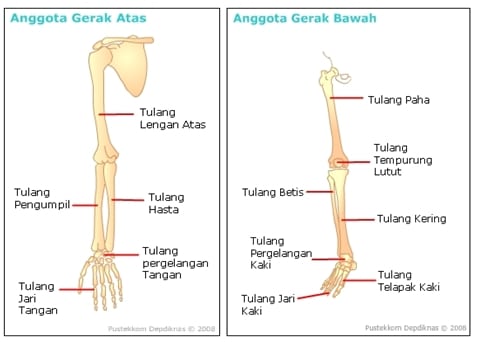 rangka gerak