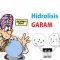 pengertian hidrolisis garam