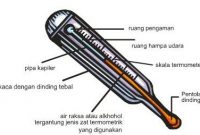 Pengertian,Fungsi Dan Macam-Macam Termometer Beserta Cara Kerjanya Terlengkap