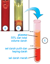 Pengertian Campuran Dan Cara Pemisahan Campuran Beserta Contoh Dan Metode Pemahamannya (Lengkap)