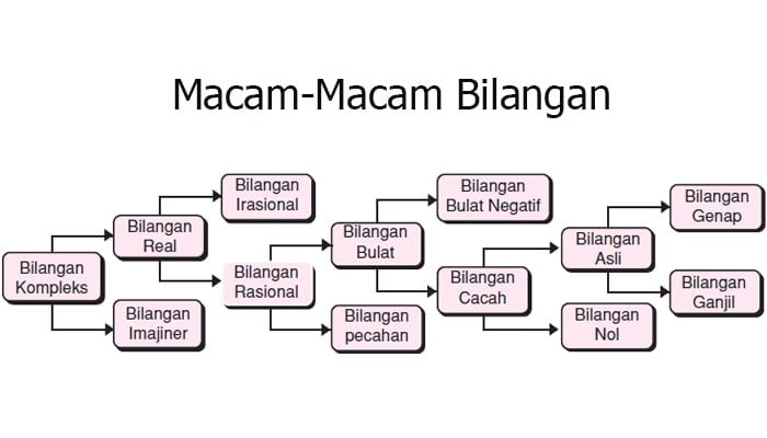 Pengertian Bilangan Macam Macam Bilangan Dan Contohnya Lengkap