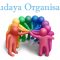 Budaya Organisasi