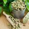 Green Coffee