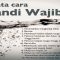 Mandi Wajib