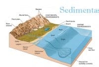 Sedimentasi