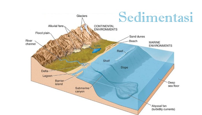 Sedimentasi