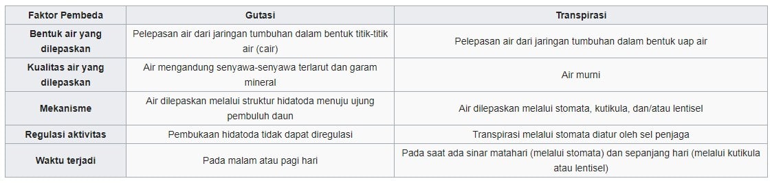 Pengertian, Proses dan Perbedaan Transpirasi dan Gutasi 