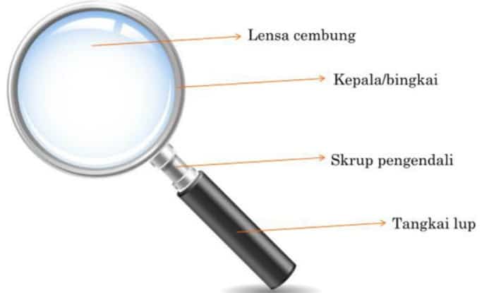 Pengertian Lup Bagian Rumus dan Contoh Soal Lup Kaca 