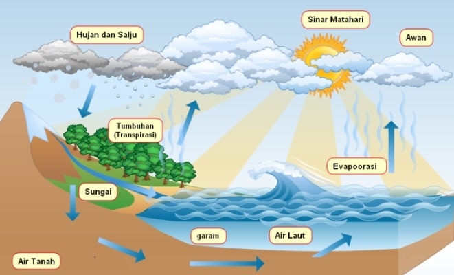  Daur  Air  Pengertian Macam Tahapan Proses Daur  Air  dan 