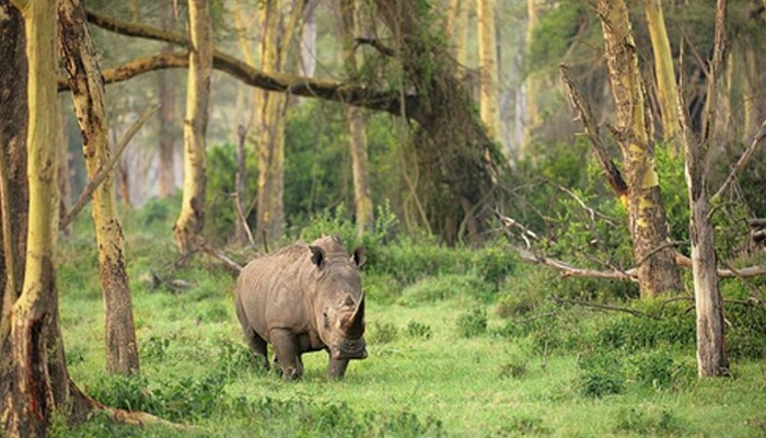 Hutan suaka alam yang ditetapkan sebagai tempat perlindungan flora dan fauna disebut