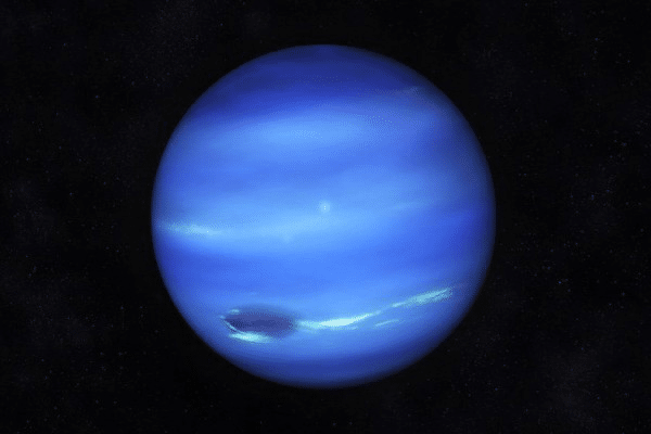Neptunus